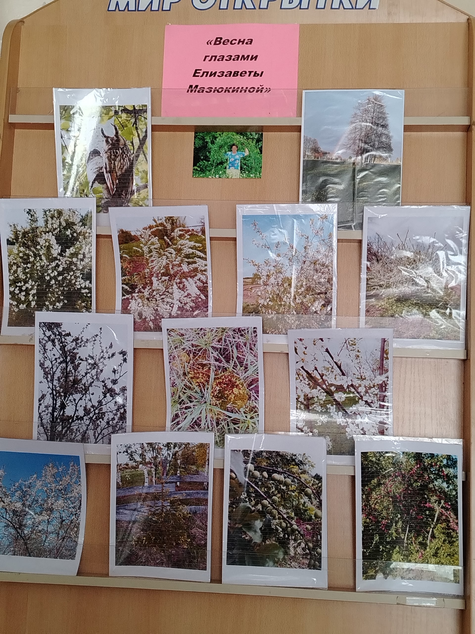 Фотовыставка «Весна глазами Елизаветы Мазюкиной