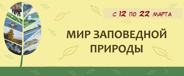 Экологическая панорама «Мир заповедной природы». 