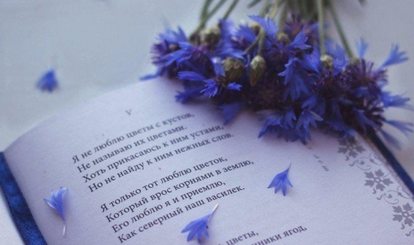 Громкое чтение «Любимые строки вслух»