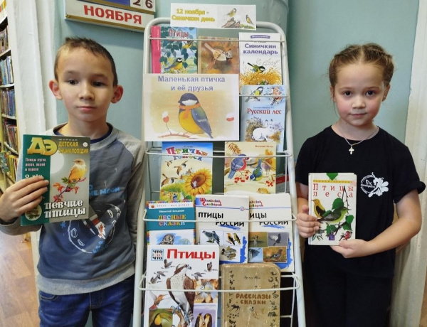 Накормите птиц зимой