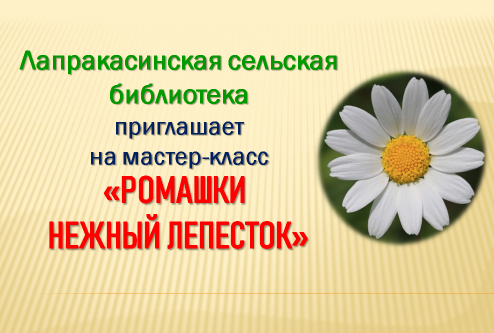 «Ромашки нежный лепесток» 