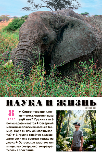 Новый номер научно-популярного журнала «Наука и жизнь» (№8, 2026) в библиотеке
