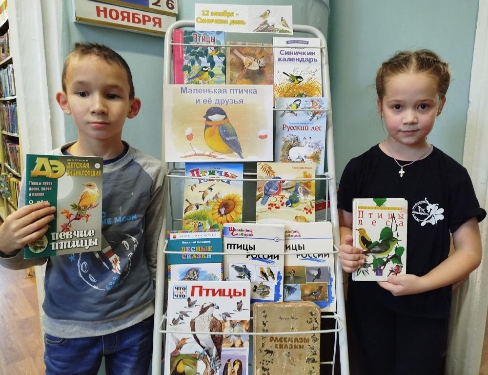 Накормите птиц зимой