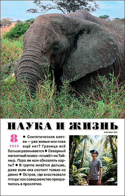 Новый номер научно-популярного журнала «Наука и жизнь» (№8, 2026) в библиотеке