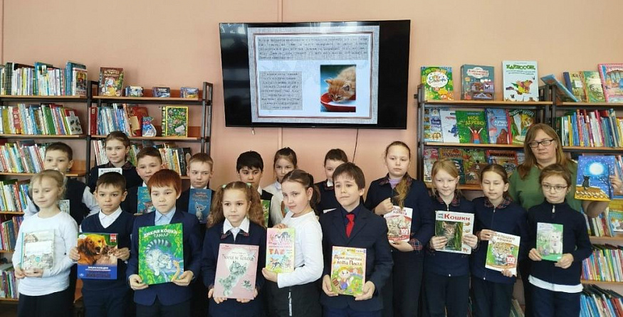 Кошачьи истории